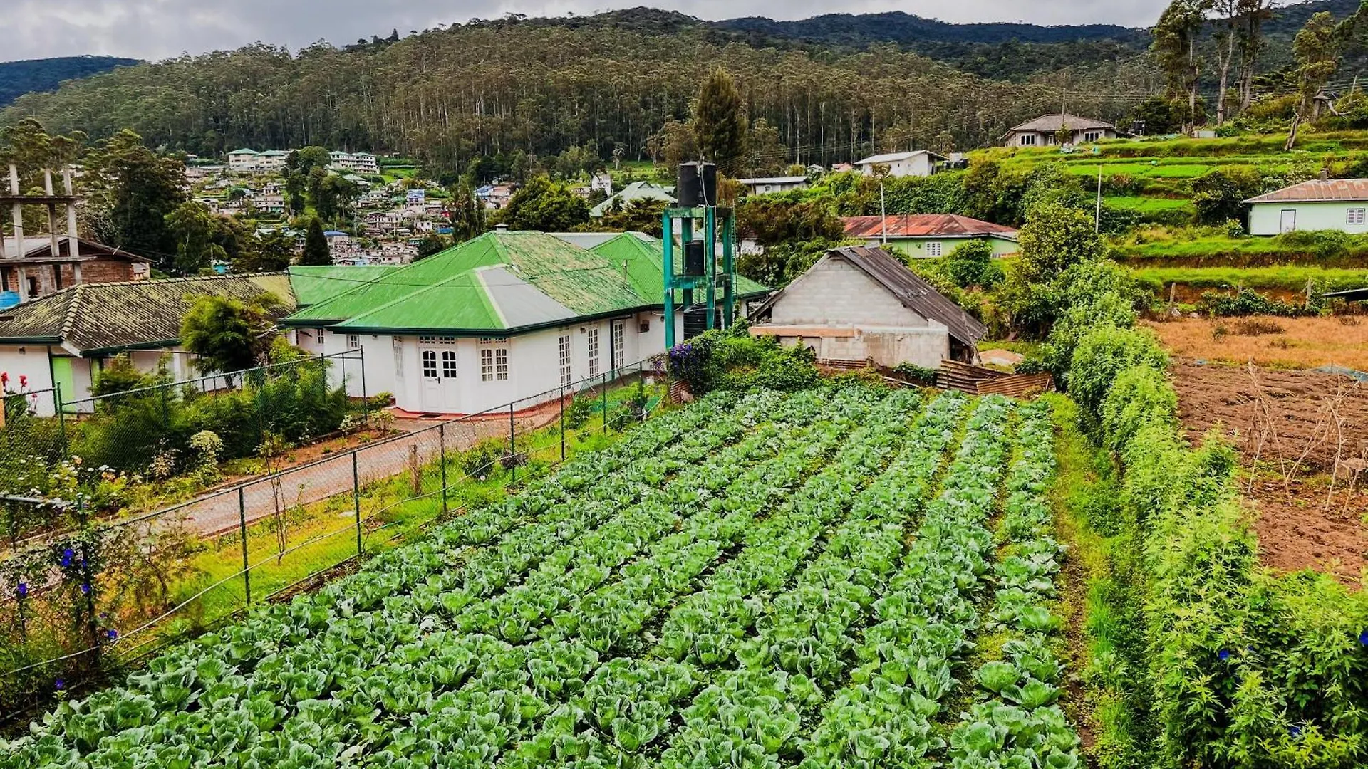Selis Manor Apartment Nuwara Eliya Homestay